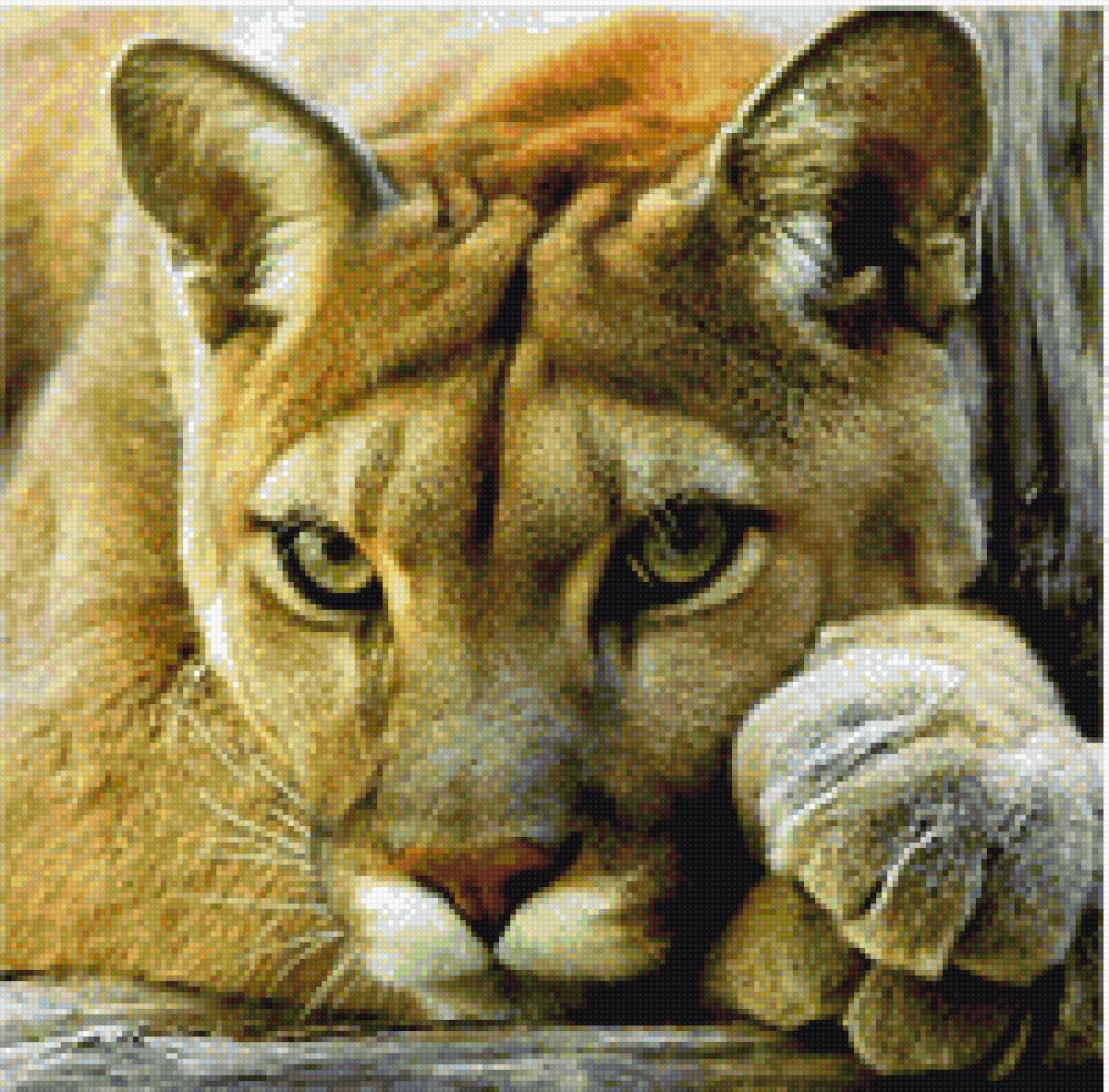 Puma - предпросмотр