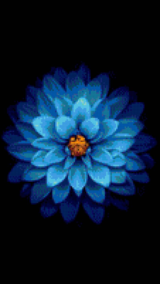 flor - flor - предпросмотр