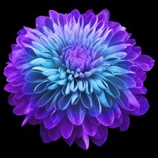 Схема вышивки «flor»