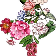 Схема вышивки «№2426943»