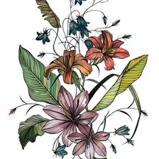 Схема вышивки «№2426950»