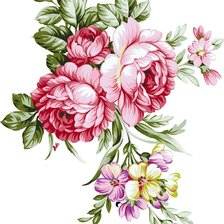 Схема вышивки «№2426977»