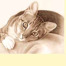 Схема вышивки «Серия "Коты"»