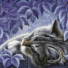 Схема вышивки «Кот»