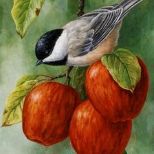 Схема вышивки «Птица 🐦»