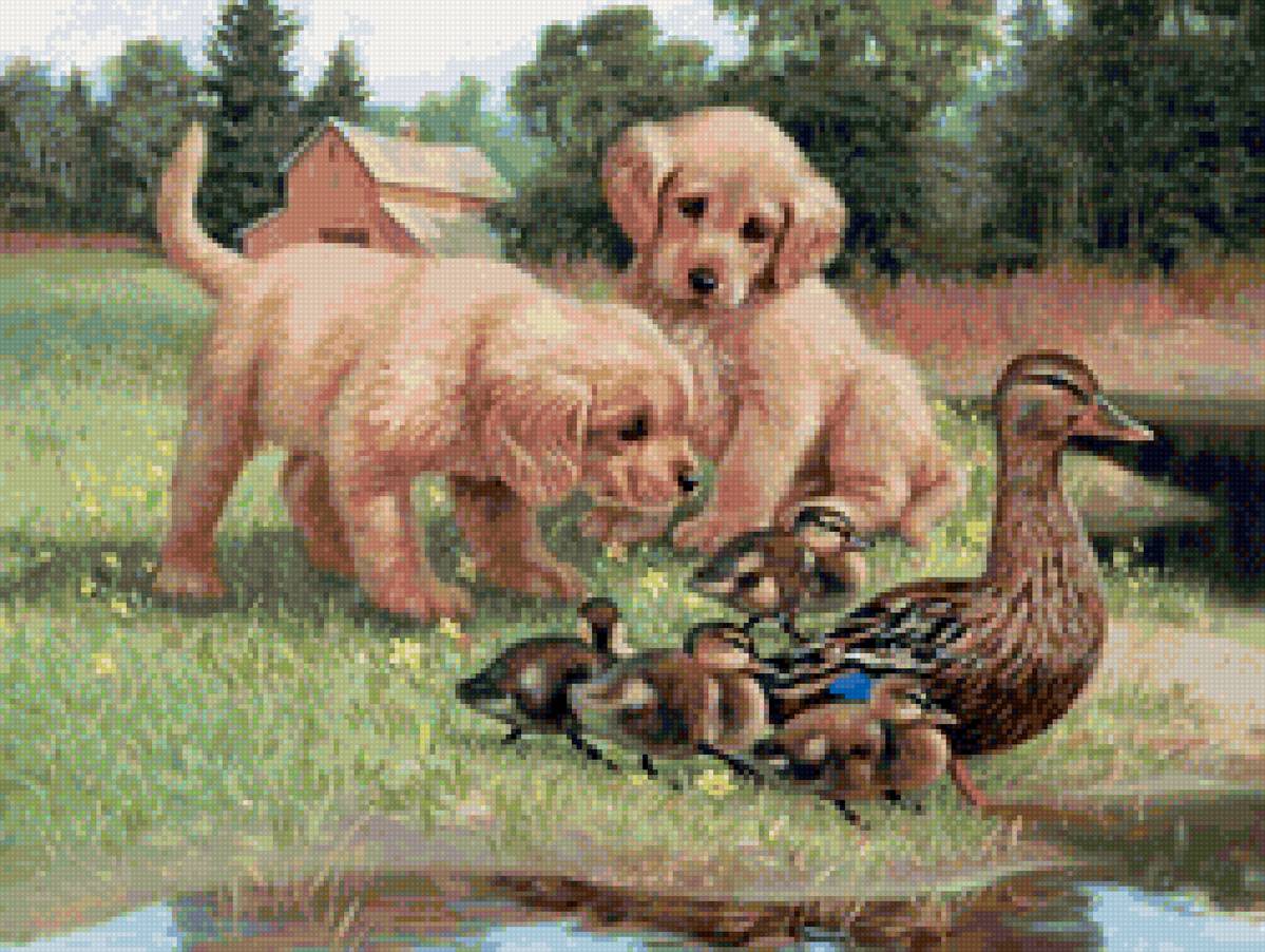 №2427972 - предпросмотр