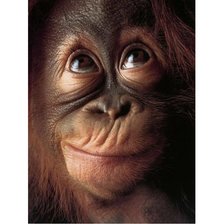 Схема вышивки «№2428661»