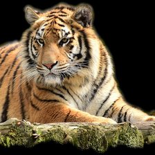 Схема вышивки «№2429567»