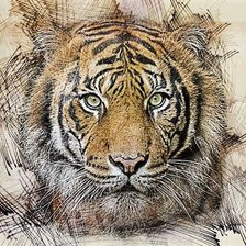 Схема вышивки «№2429595»