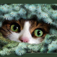 Схема вышивки «№2429668»