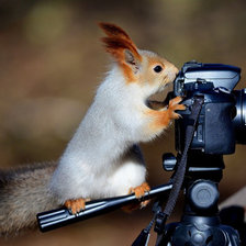 Схема вышивки «№2429669»