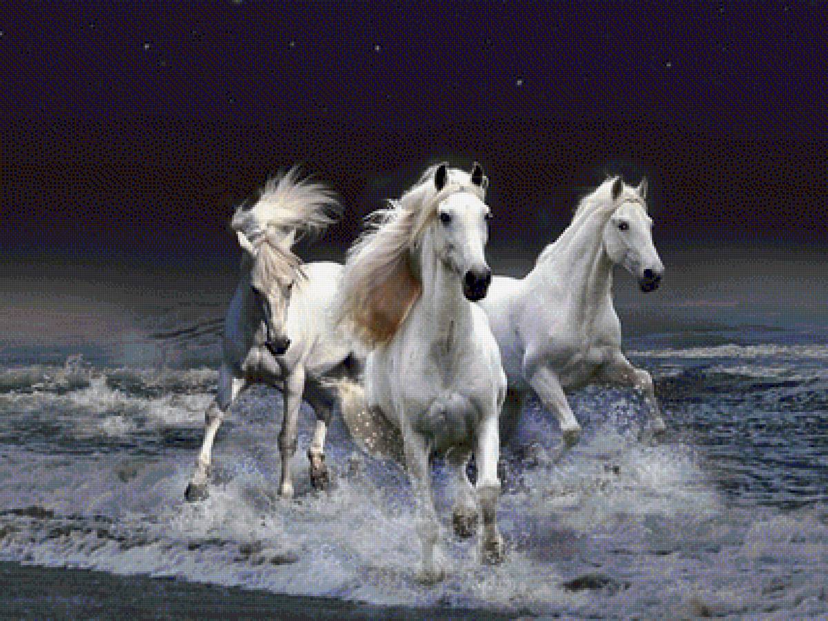 №2429677 - предпросмотр