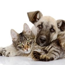 Схема вышивки «№2429678»