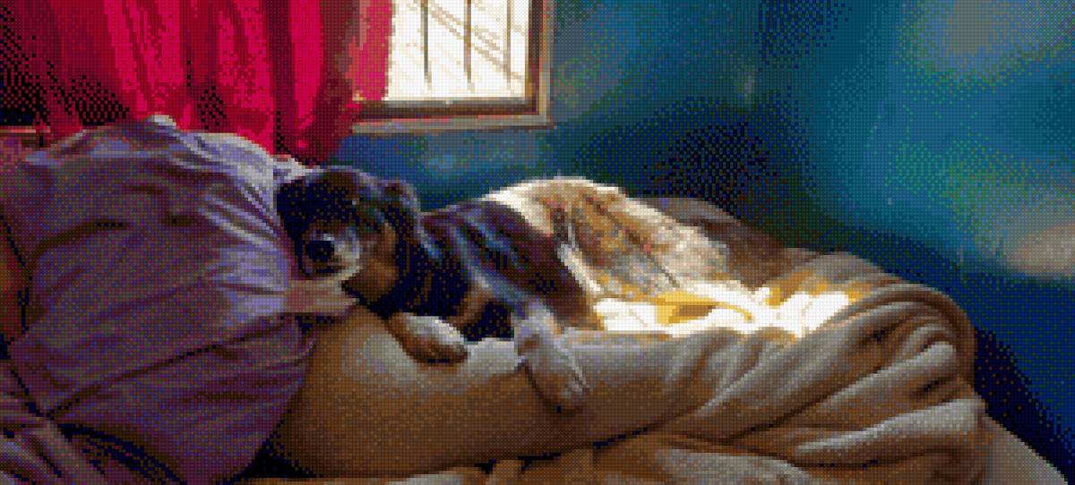 Kiara - perrita - предпросмотр