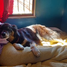 Схема вышивки «Kiara»