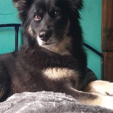 Схема вышивки «Kiara 2»