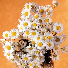 Схема вышивки «Ромашки»