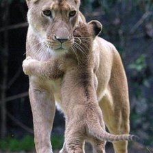 Схема вышивки «№2430397»