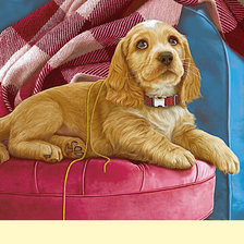 Схема вышивки «Серия "Собаки"»