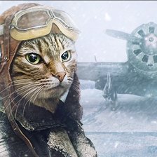 Схема вышивки «Кот лётчик»