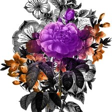 Схема вышивки «№2431318»