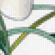 Предпросмотр схемы вышивки «№2431443»