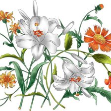 Схема вышивки «№2431443»