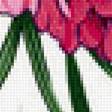 Предпросмотр схемы вышивки «Цветы» (№2431451)