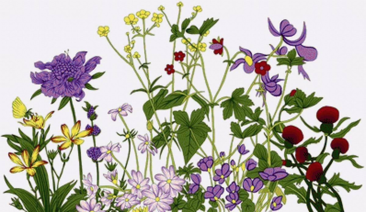 №2431461 - предпросмотр