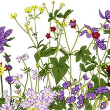 Схема вышивки «№2431461»