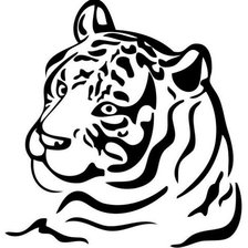 Схема вышивки «тигр»