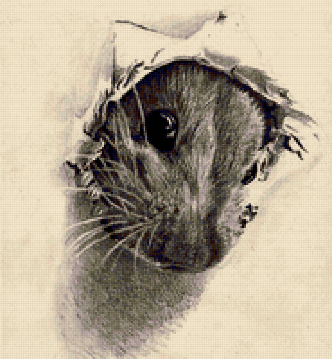 Мыша - монохром - предпросмотр