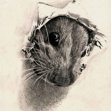 Схема вышивки «Мыша»