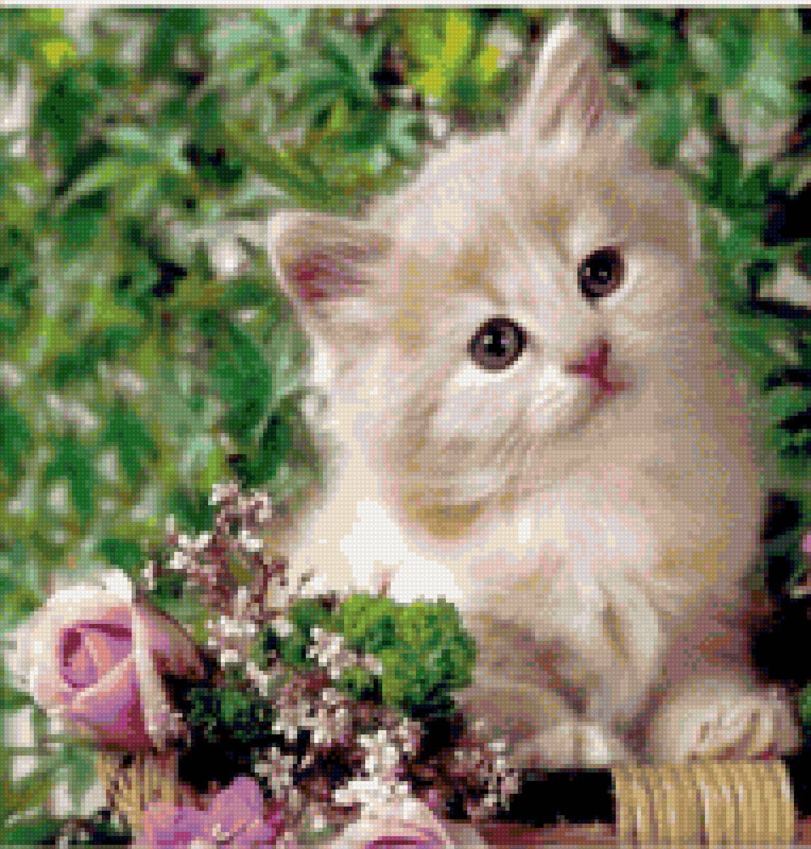 Котейка - животные, кот - предпросмотр