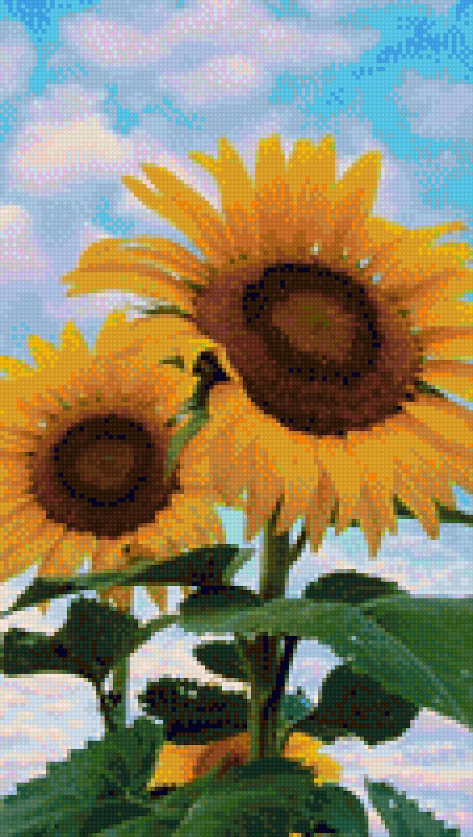 Hoa Hướng Dương - hoa - предпросмотр