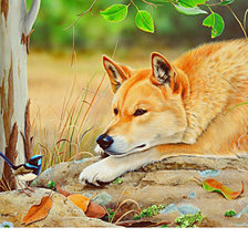 Схема вышивки «Серия "Лисы"»