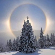 Схема вышивки «№2433112»