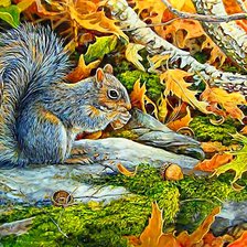 Схема вышивки «Белочка»