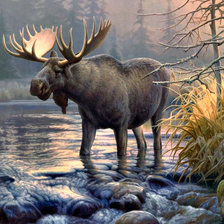 Схема вышивки «Лось»