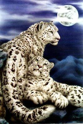 снежные барсы - оригинал