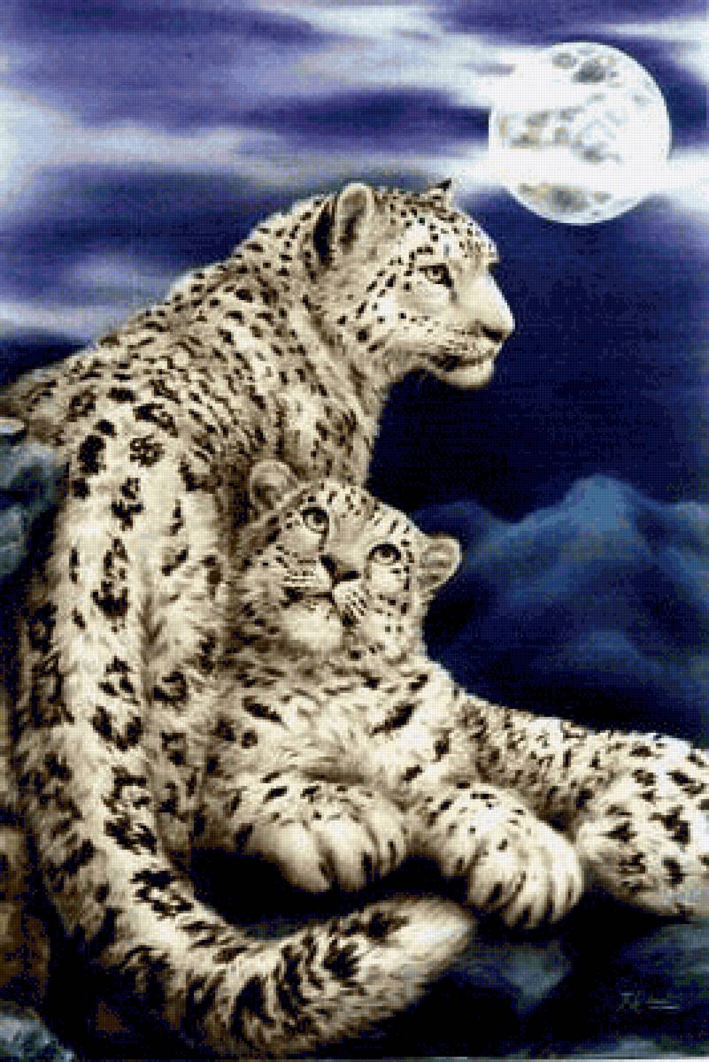 снежные барсы - предпросмотр