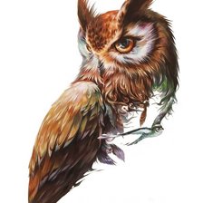 Схема вышивки «сова»