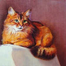 Схема вышивки «Рыжик»