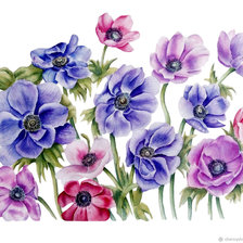 Схема вышивки «анемоны»