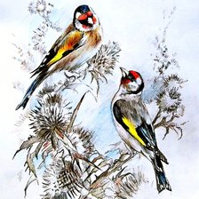 Схема вышивки «щеглы»