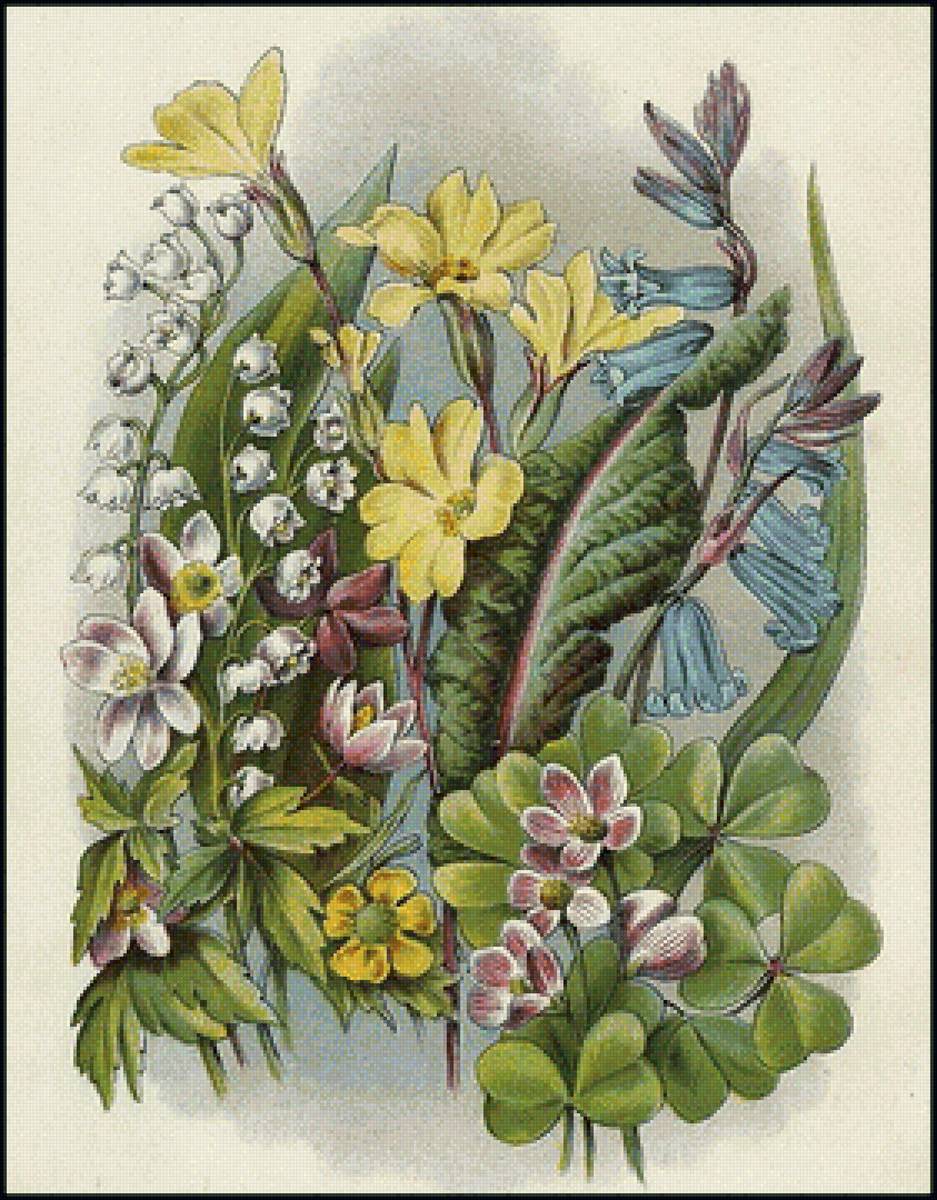 цветы - цветы - предпросмотр