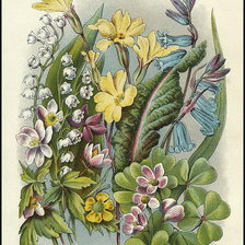 Схема вышивки «цветы»