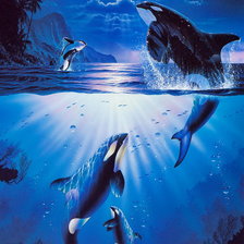 Схема вышивки «Касатки»