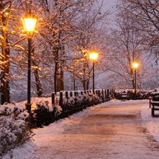 Схема вышивки «Зимний парк»