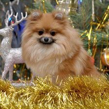 Схема вышивки «НОВЫ ГОД, ЗИМА, ЖИВОТНЫЕ»